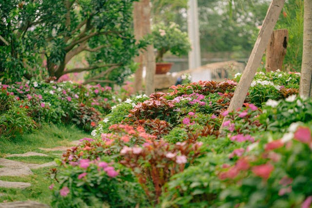 jardin écologique réduction eau